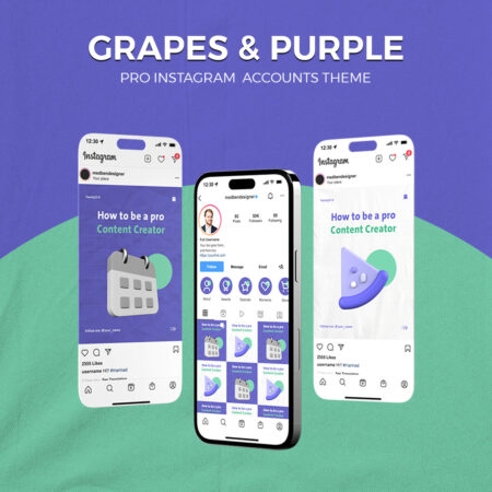 Professionel Instagram Theme