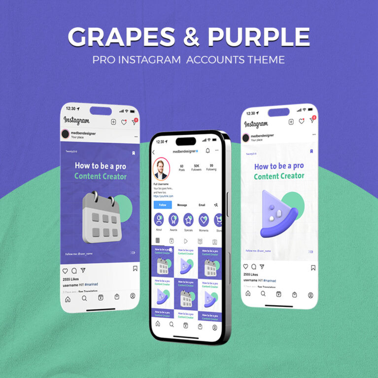 Professionel Instagram Theme