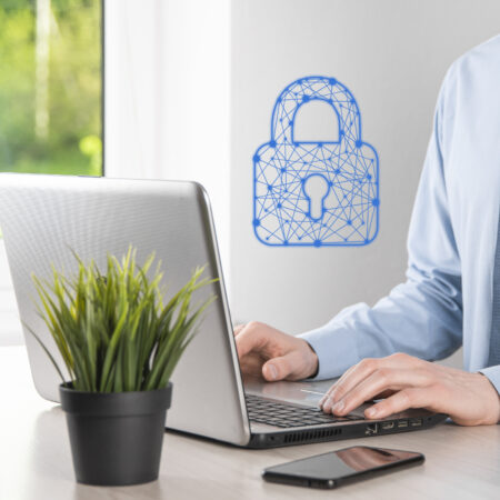 Formation à distance : Sécurité informatique pour les novices : protégez-vous en ligne